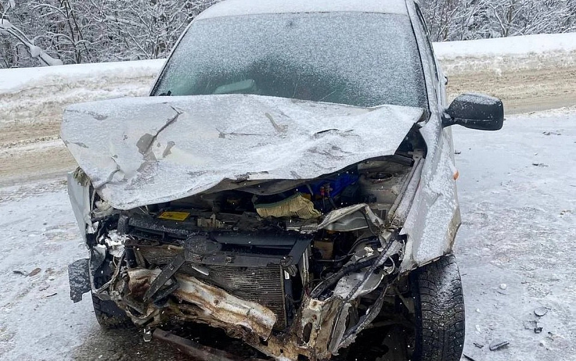 Фото: Госавтоинспекция Удмуртии