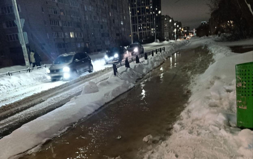 Фото: t.me/zloyizhevchanin