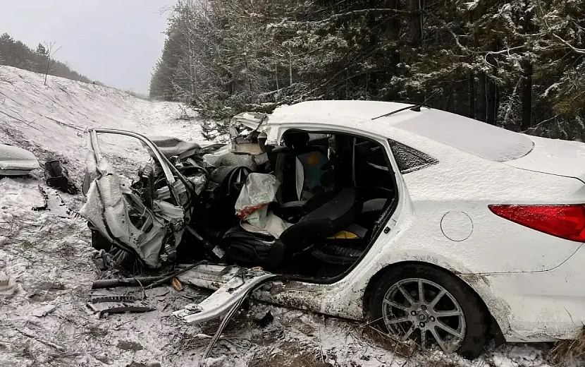 Фото: Госавтоинспекция Удмуртии