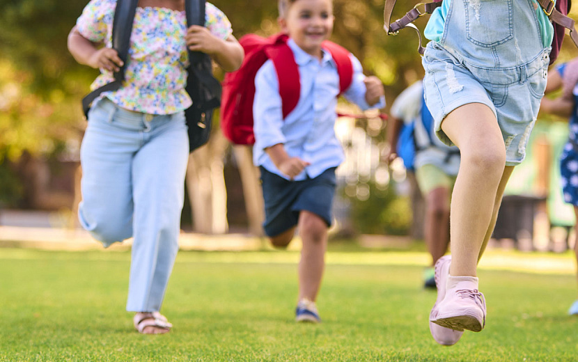 Фото: envato.com