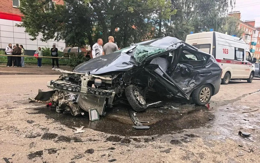 Фото: Госавтоинспекция Удмуртии
