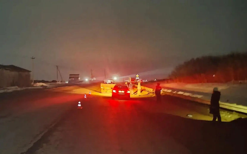 Фото: Госавтоинспекция Удмуртии