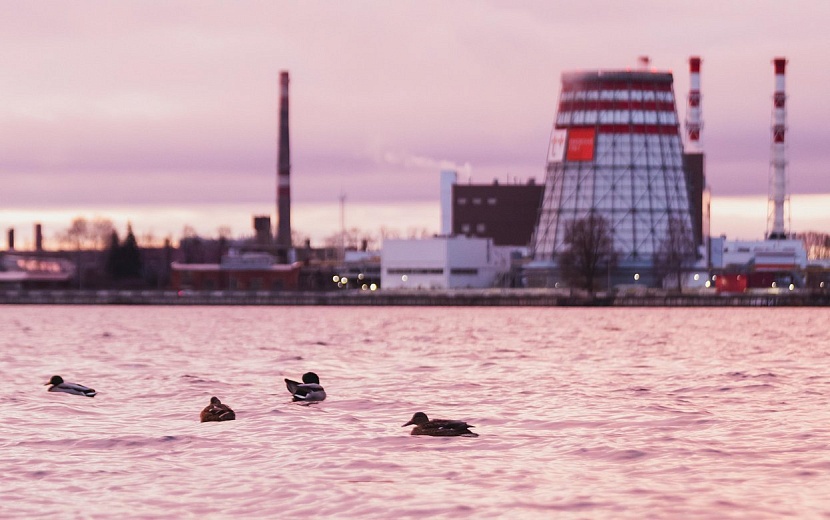 Фото: Данил Иванов 
