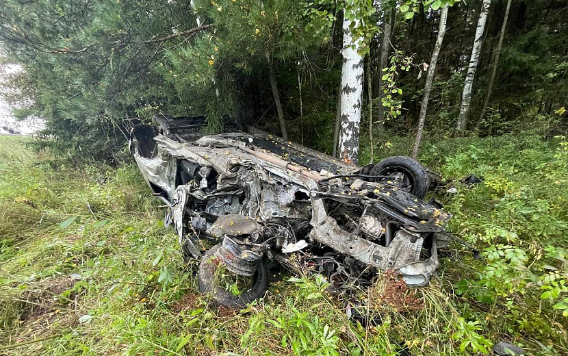 Фото: Госавтоинспекция УдмуртииФото: Госавтоинспекция Удмуртии