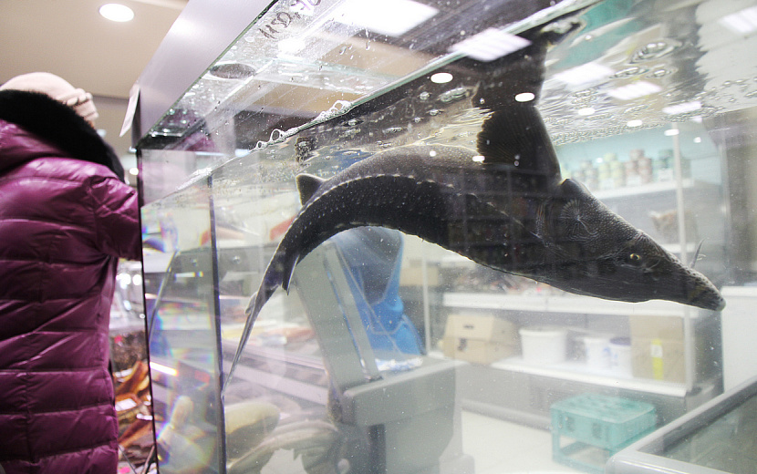 Фото: архив редакции