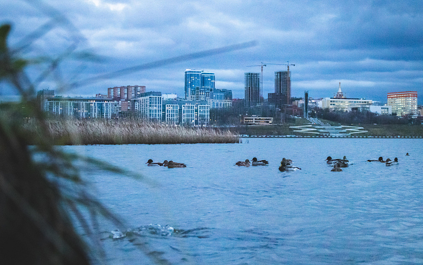 Фото: Данил Иванов