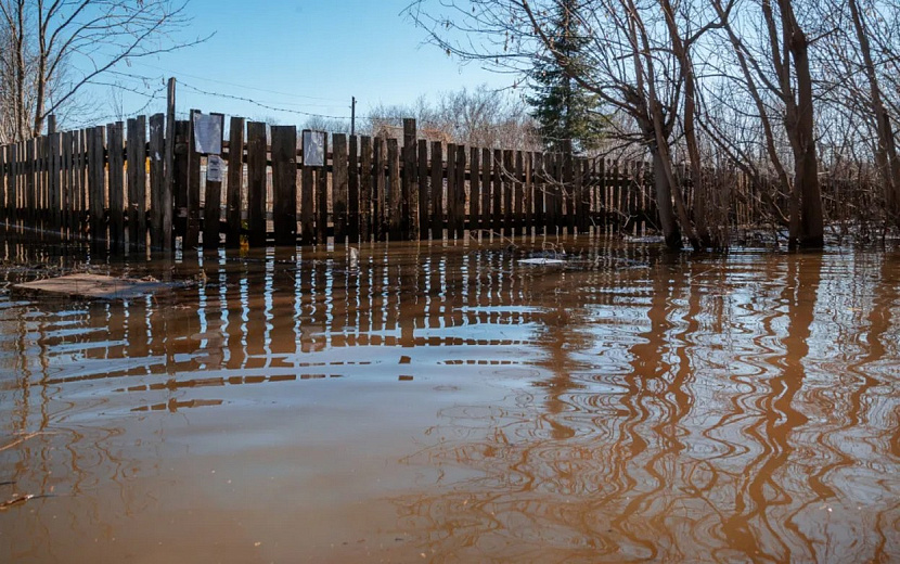 Фото: Алексей Филинов