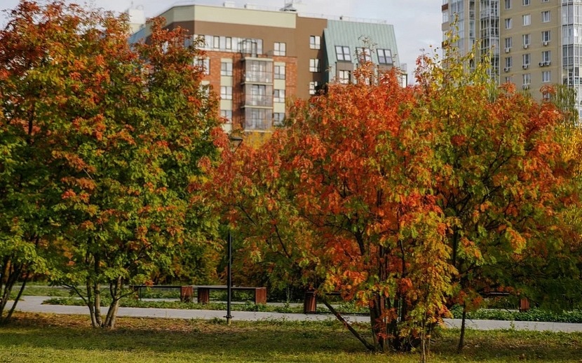 Обзор новостей на утро 6 октября. Фото: Мария Бакланова