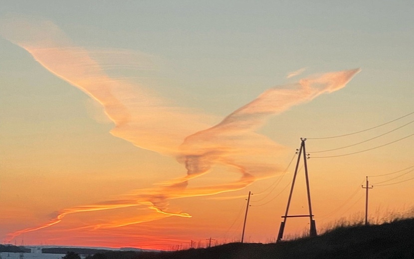 Огненное облако в виде птицы украсило небо Удмуртии. Фото: Ольга Збоева