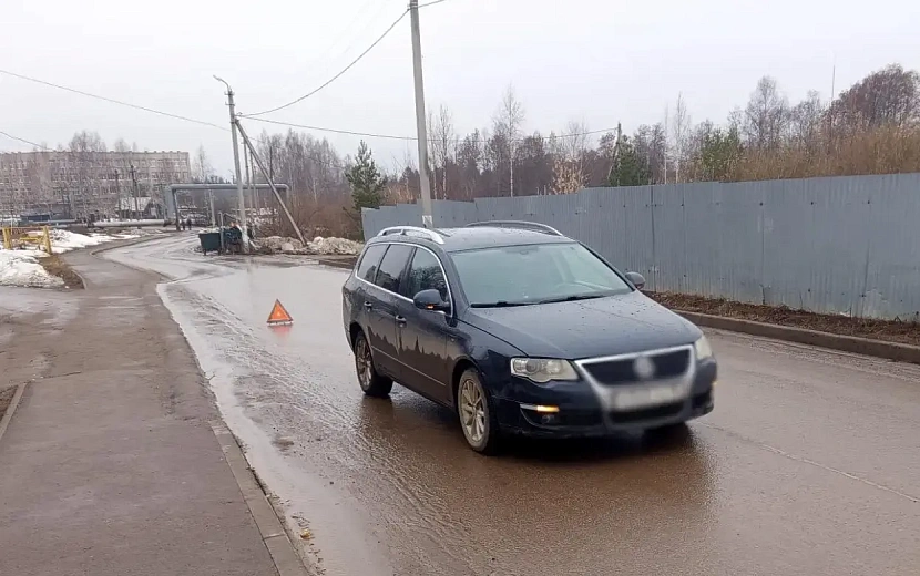 Фото: Госавтоинспекция Удмуртии
