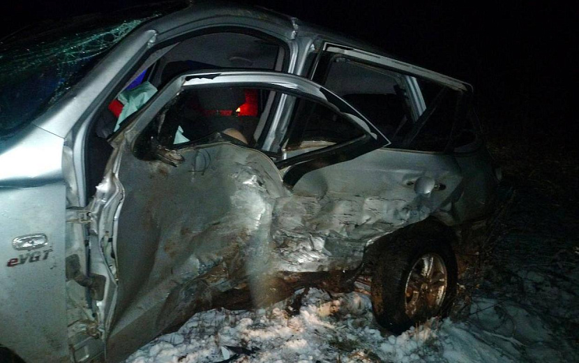 Фото: Госавтоинспекция Удмуртии