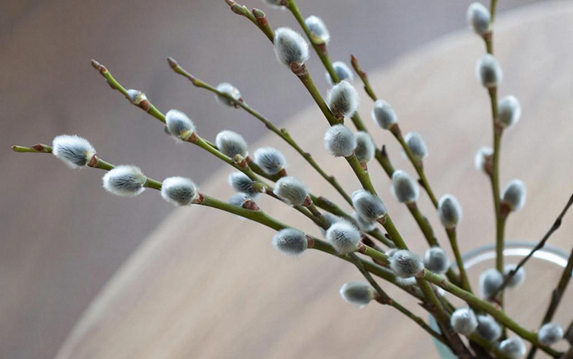 Фото: Нейросеть giga.chat