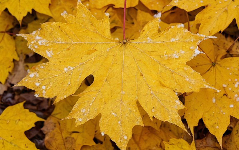 Фото: нейросеть