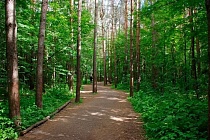 Главные новости Ижевска на 29 марта: найденный подрядчик для благоустройства леса на Ворошилова и ДТП с автобусом