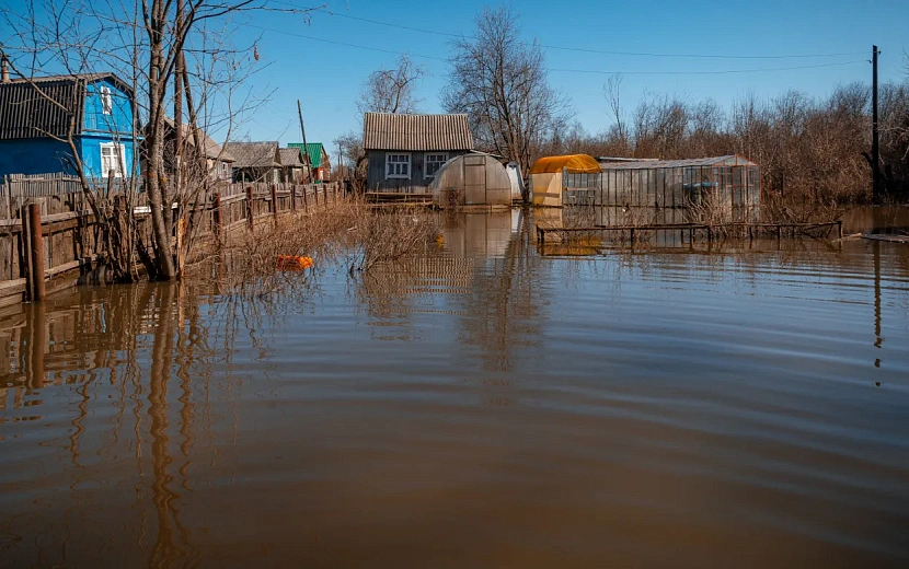 Фото: Алексей Филинов