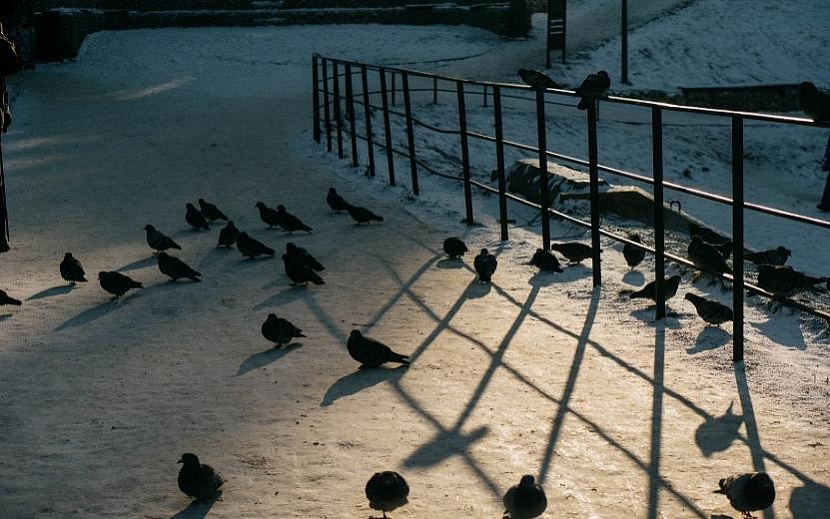 Фото: Архив редакции