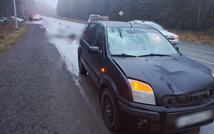 Фото: Госавтоинспекция Удмуртии