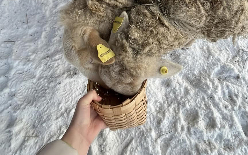 Фото: пресс-служба Главы и Правительства Удмуртии