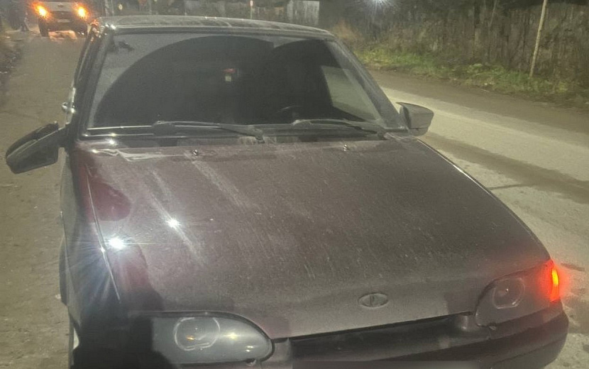 Фото: Госавтоинспекция Удмуртии