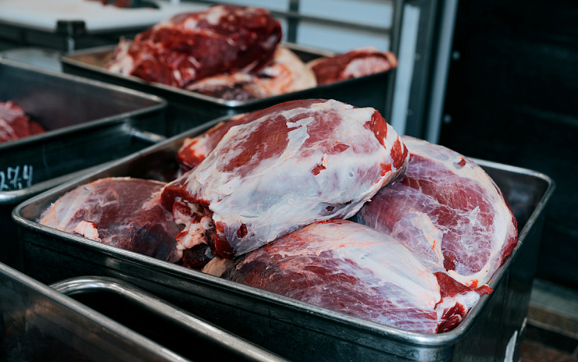 Фото: Маша Бакланова