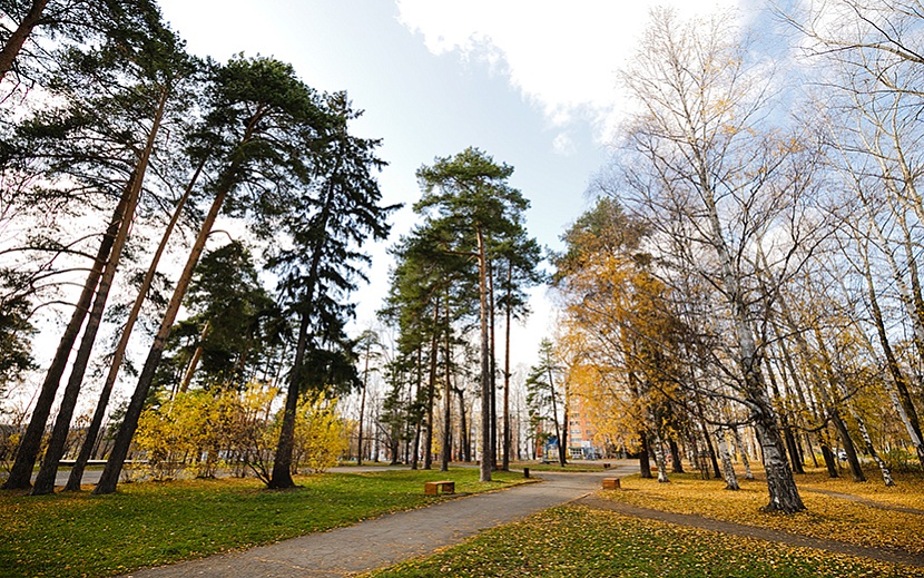 Фото: Амир Закиров