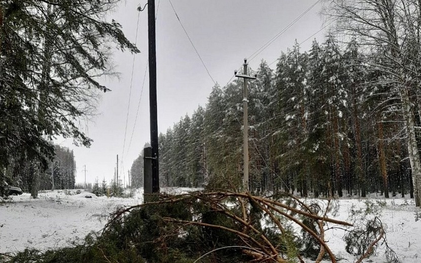 Фото: пресс-служба  «Удмуртэнерго»