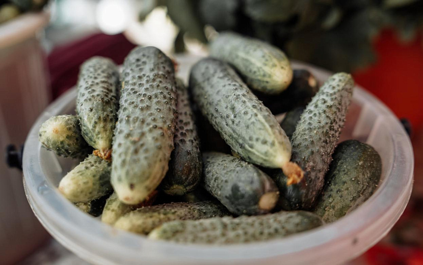 Фото: Маша Бакланова