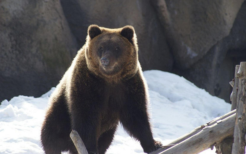 Фото: пресс-служба Главы и правительства Удмуртии