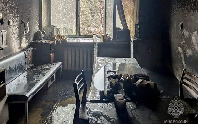 Фото: пресс-служба ГУ МЧС по Удмуртии