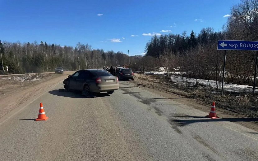 Фото: Госавтоинспекция Удмуртии