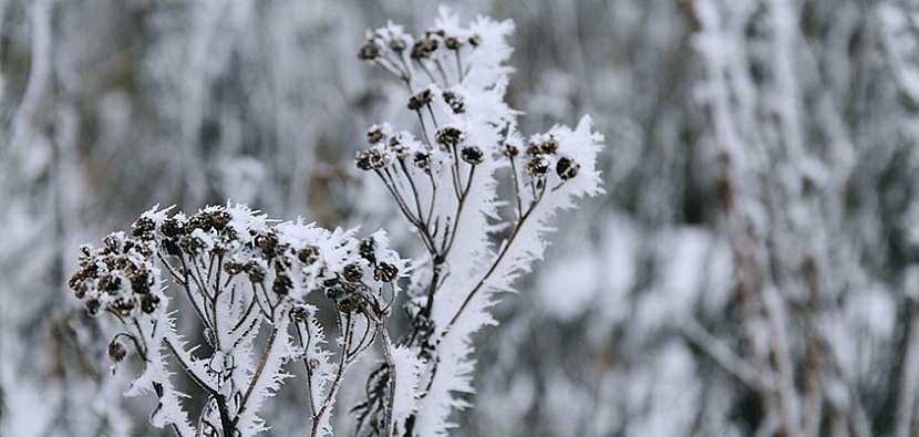 архив редакции