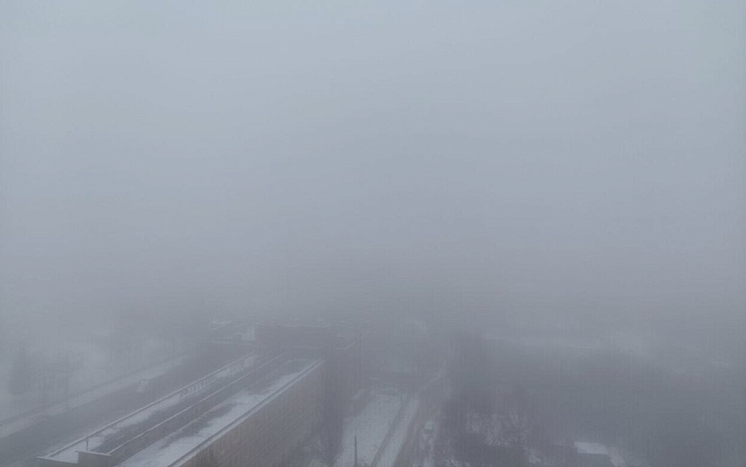 Фото: Таня Трушкова