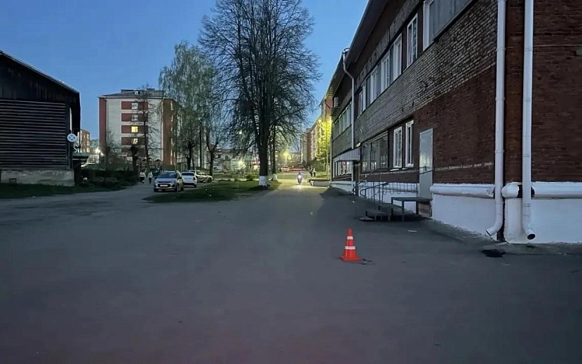 Фото: Госавтоинспекция Удмуртии