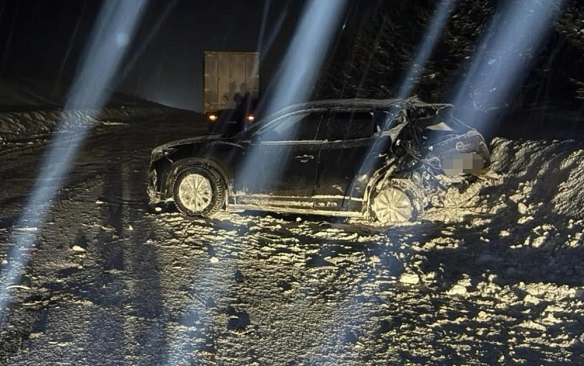 Фото: Госавтоинспекция МО МВД 