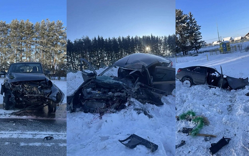 Фото: Госавтоинспекция Удмуртии