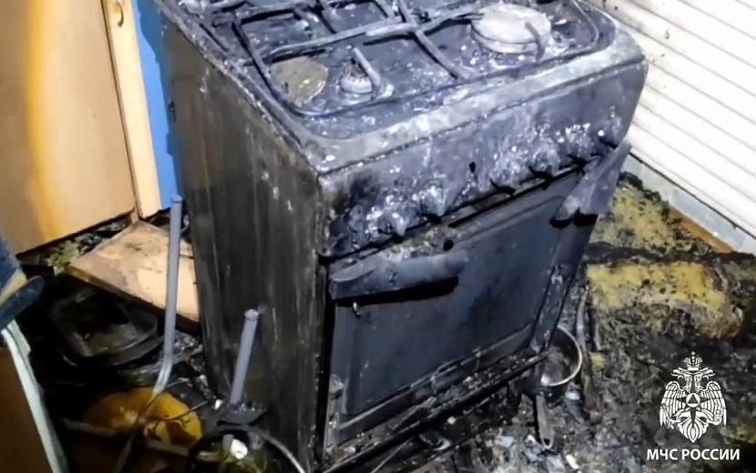 Фото: пресс-служба ГУ МЧС по Удмуртии