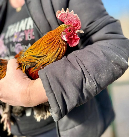 Фото: пресс-служба Главы и Правительства Удмуртии