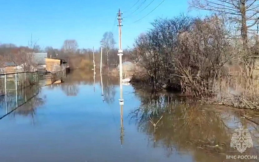 Фото: пресс-служба ГУ МЧС по Удмуртии