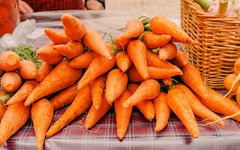 Фото: Маша Бакланова