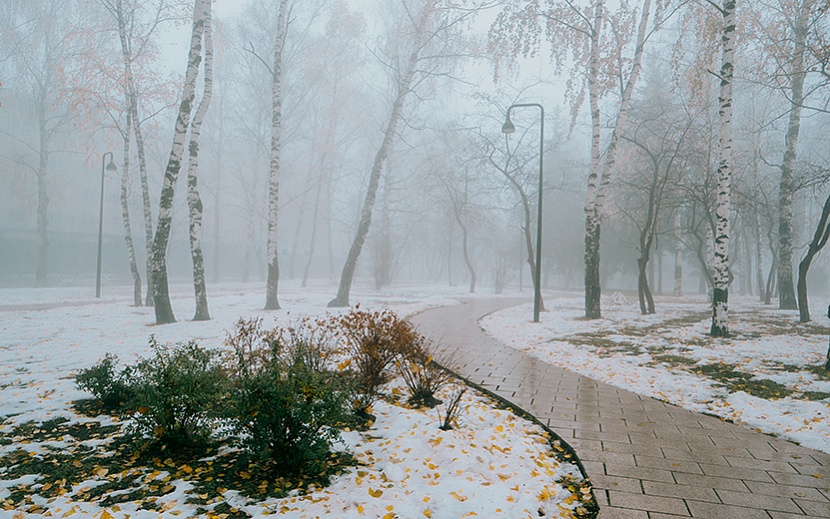 Фото: Мария Бакланова