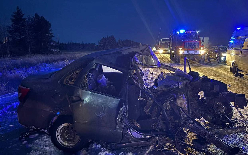 Фото: Госавтоинспекция Удмуртии