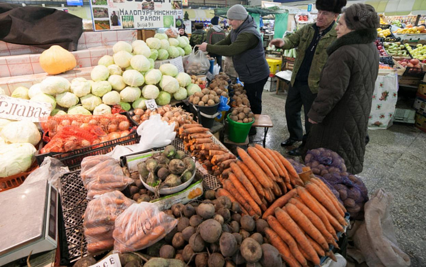 Фото: Сергей Грачев 