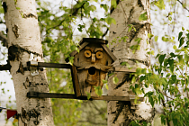 Погода в Ижевске на день: 1 июля жарко и дожди