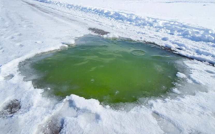 Фото: нейросеть