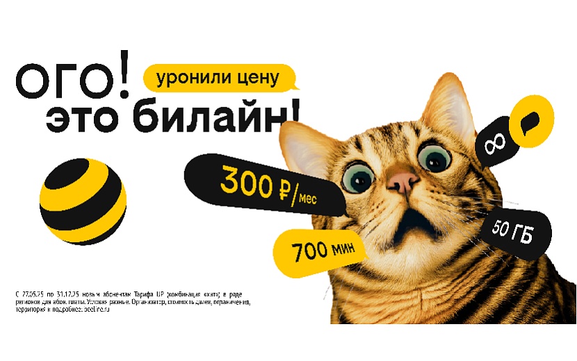 Фото предоставлено «ПАО «ВымпелКом»