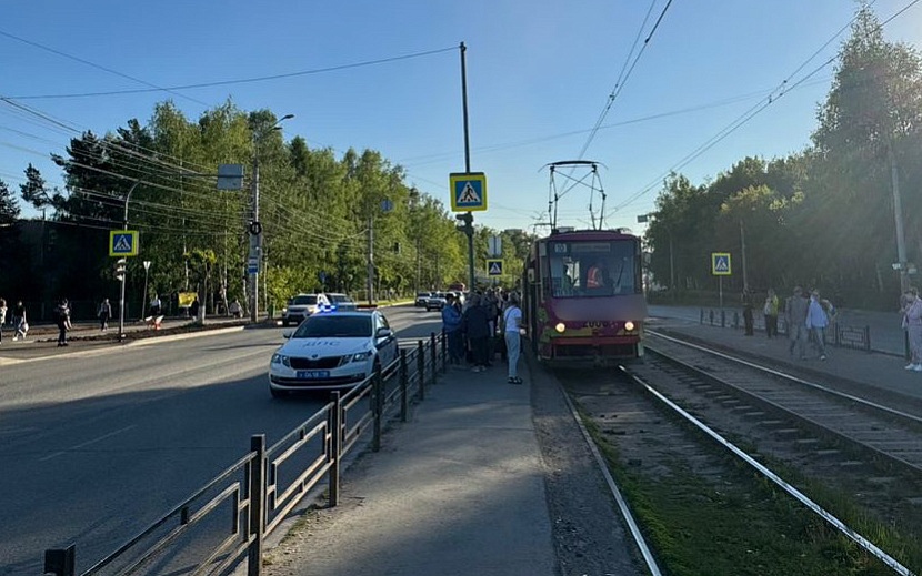 Фото: Госавтоинспекция Удмуртии