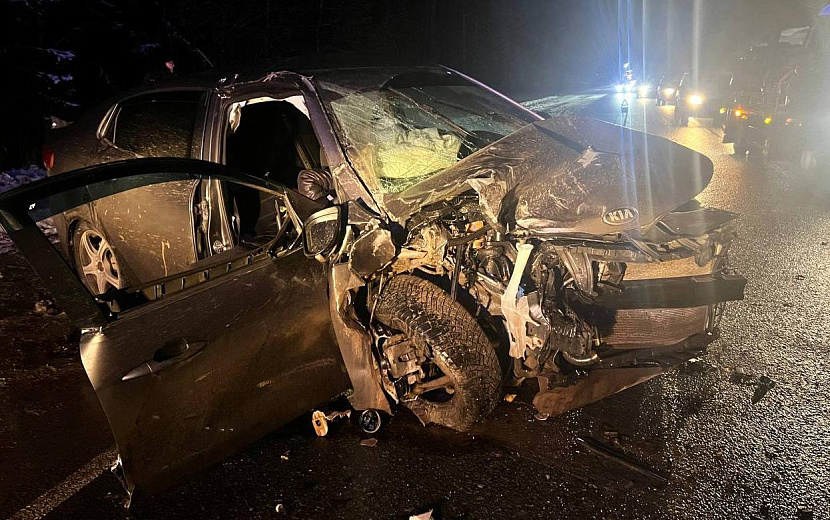 Фото: Госавтоинспекция Удмуртии