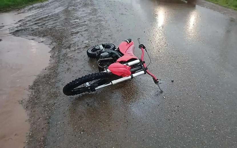 Фото: Госавтоинспекция Удмуртии