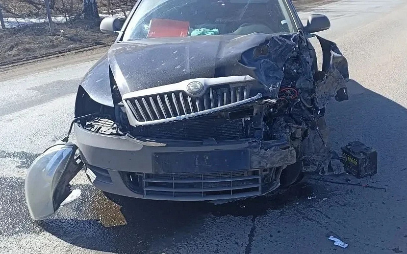 Фото: Госавтоинспекция Удмуртии