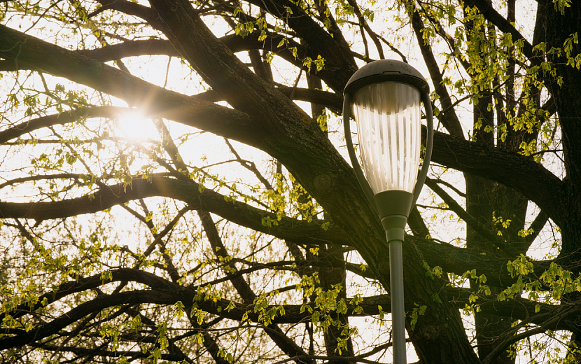 Фото: Маша Бакланова